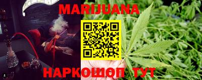 индика Бердск