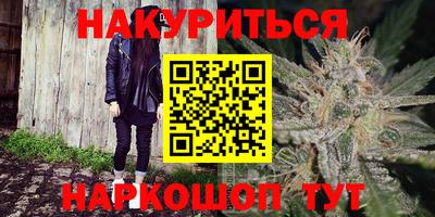 индика Бердск