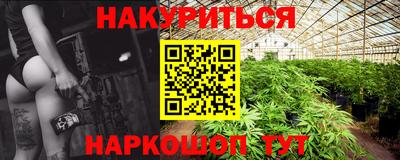 индика Бердск
