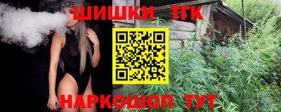 индика Бердск